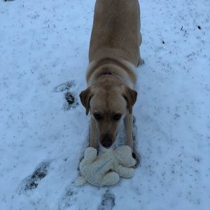 Meet your Posher, Amanda